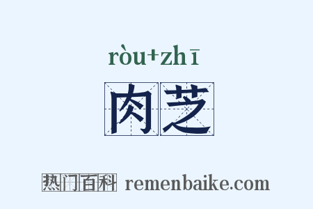 肉芝是什么意思的图片